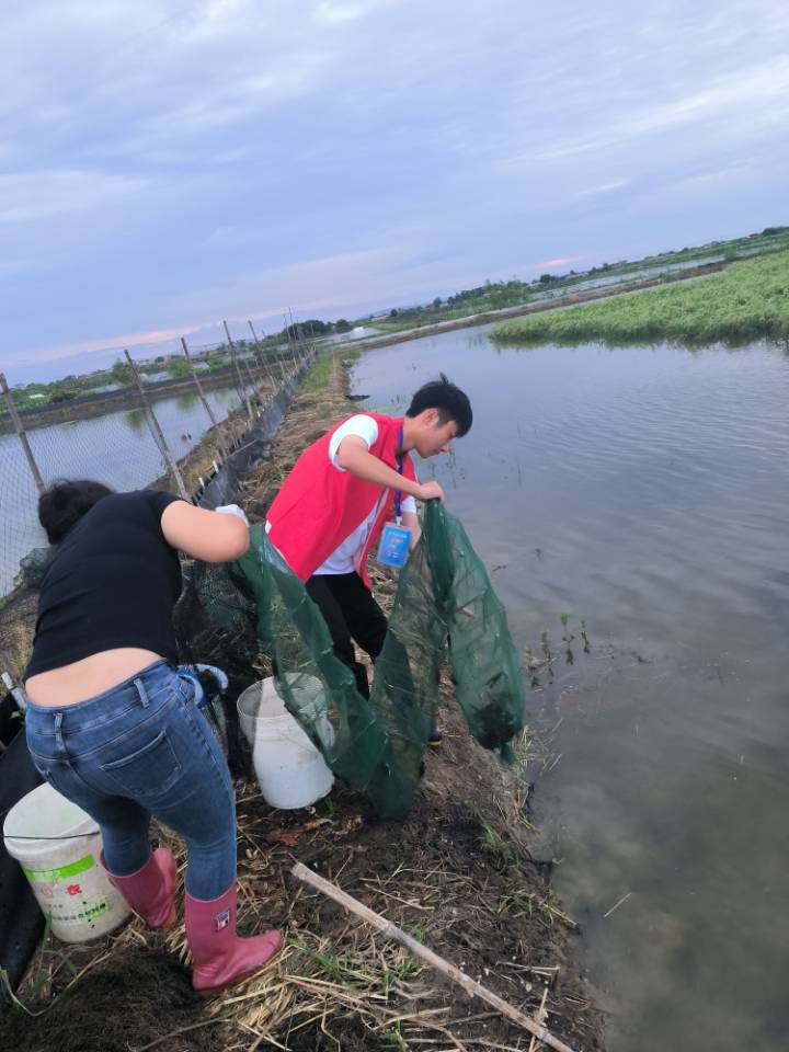 致富经龙虾养殖视频全集_致富经小龙虾养殖视频播放_致富经小龙虾