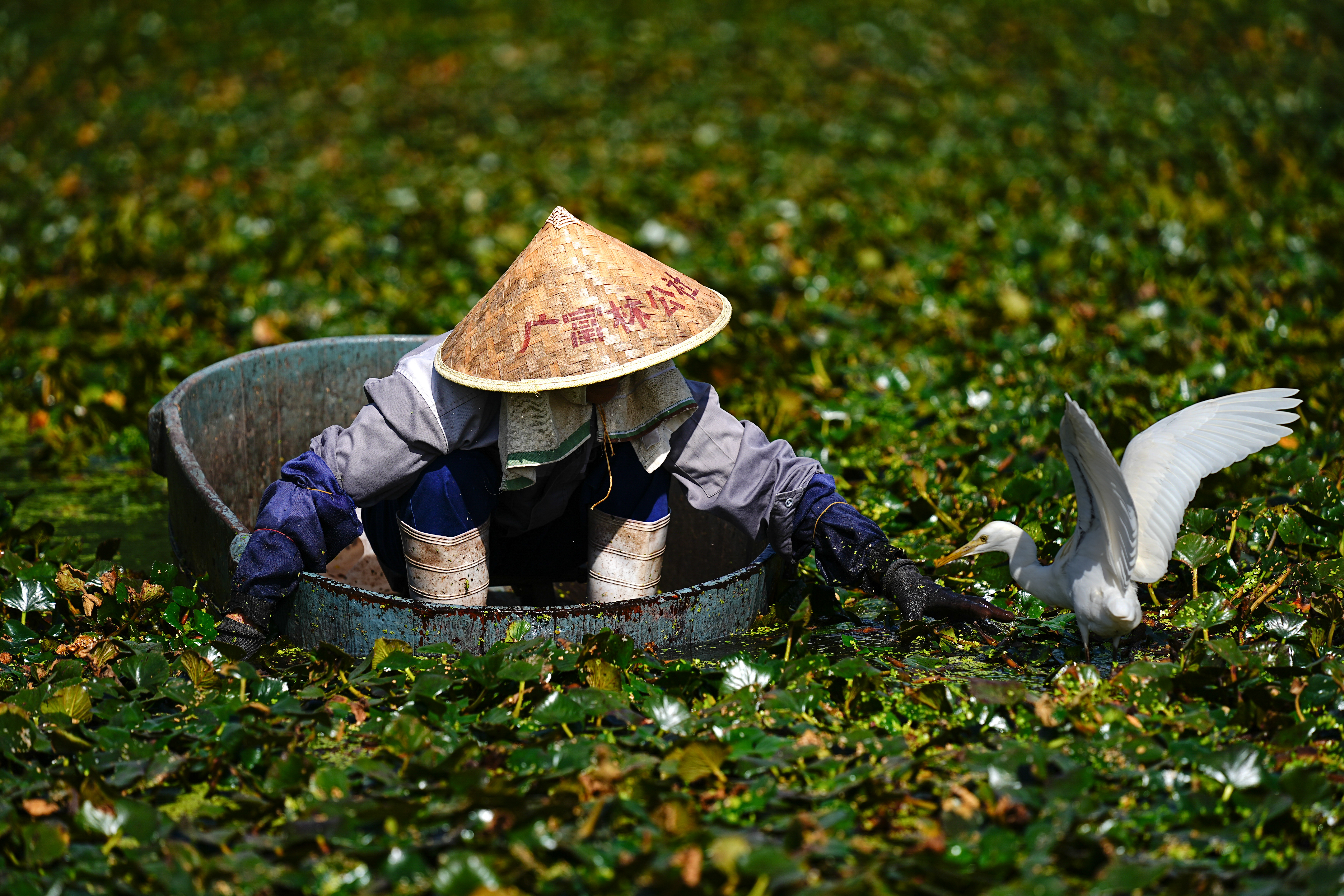 生态环境是人类生存的基础，我们应该尊重自然，保护生态环境