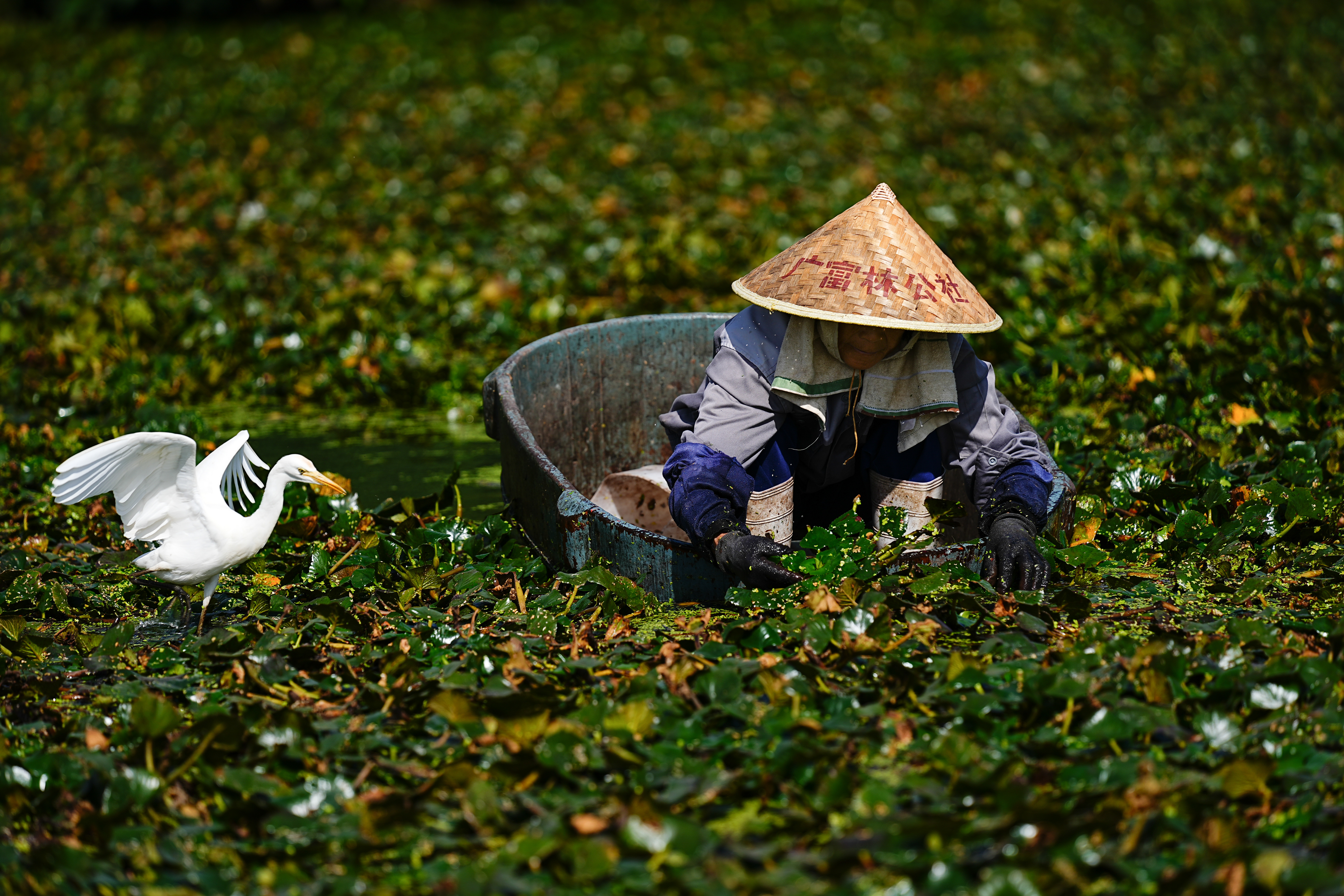 自然是我们的财富，我们应该珍惜它，保护它，让它成为我们未来的希望