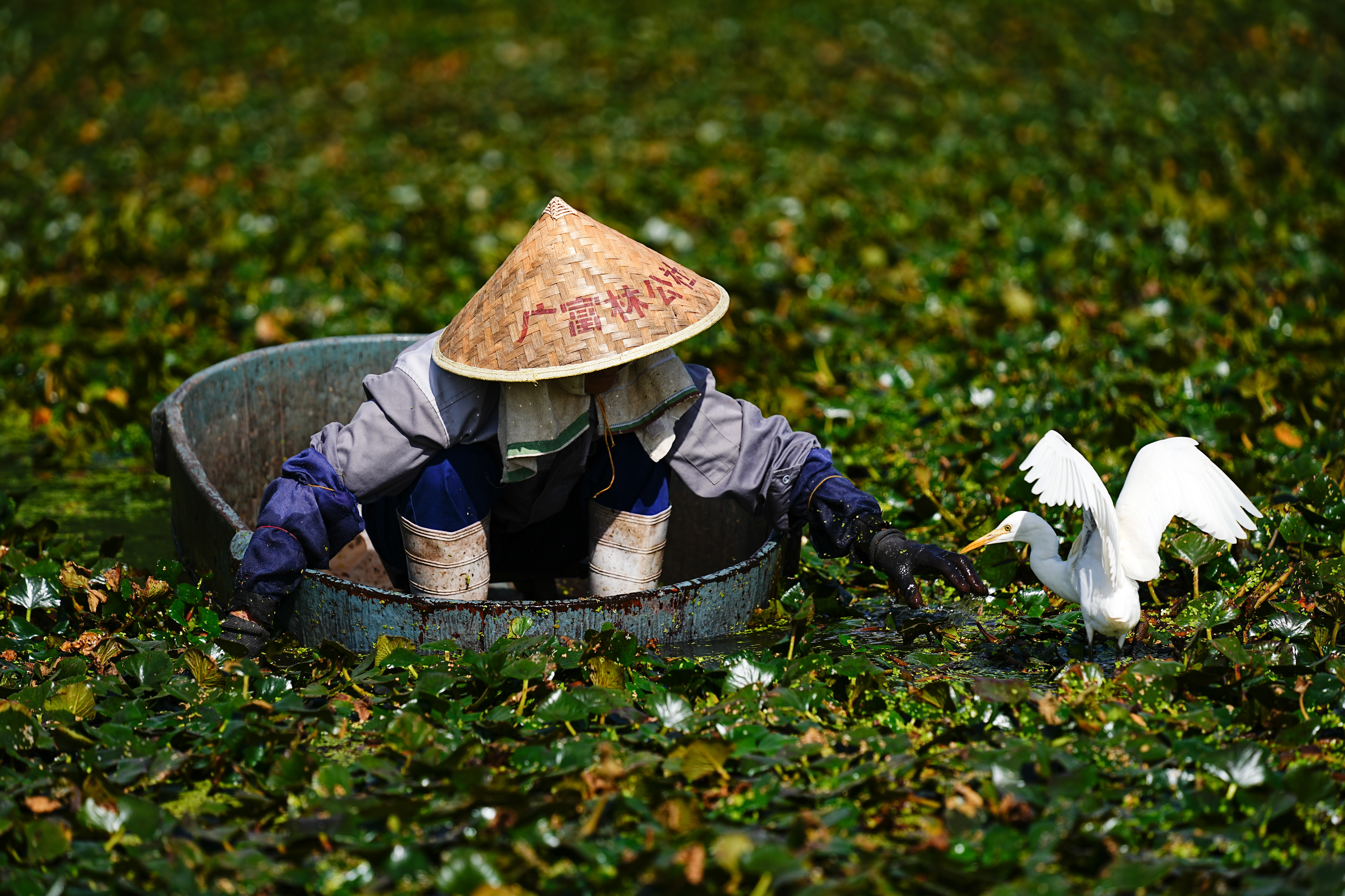 自然是我们的家园，我们应该珍惜它，保护它，让它永远美丽