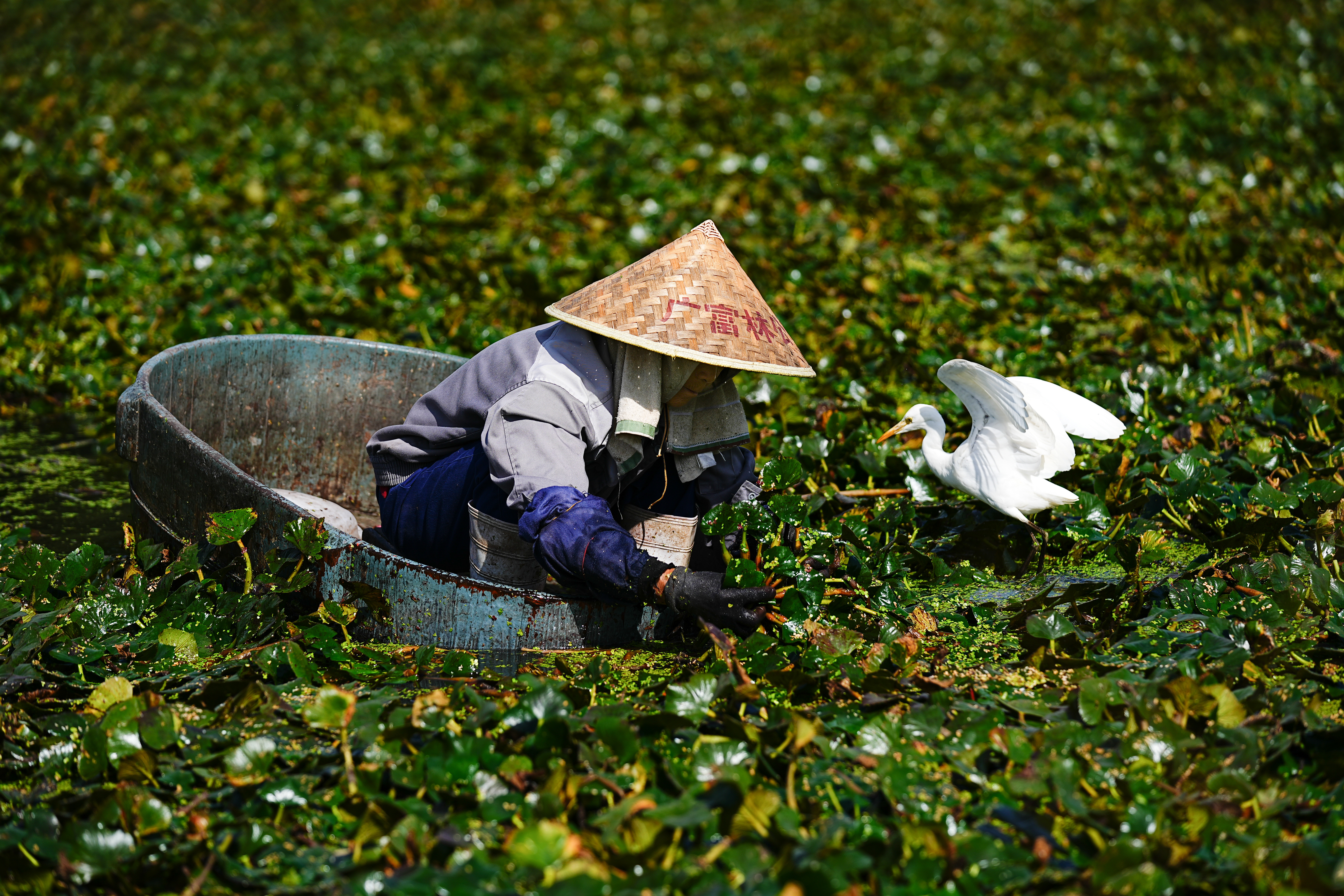 人类和自然应该和谐共生，我们应该尊重自然，保护生态环境，让我们的未来更加美好