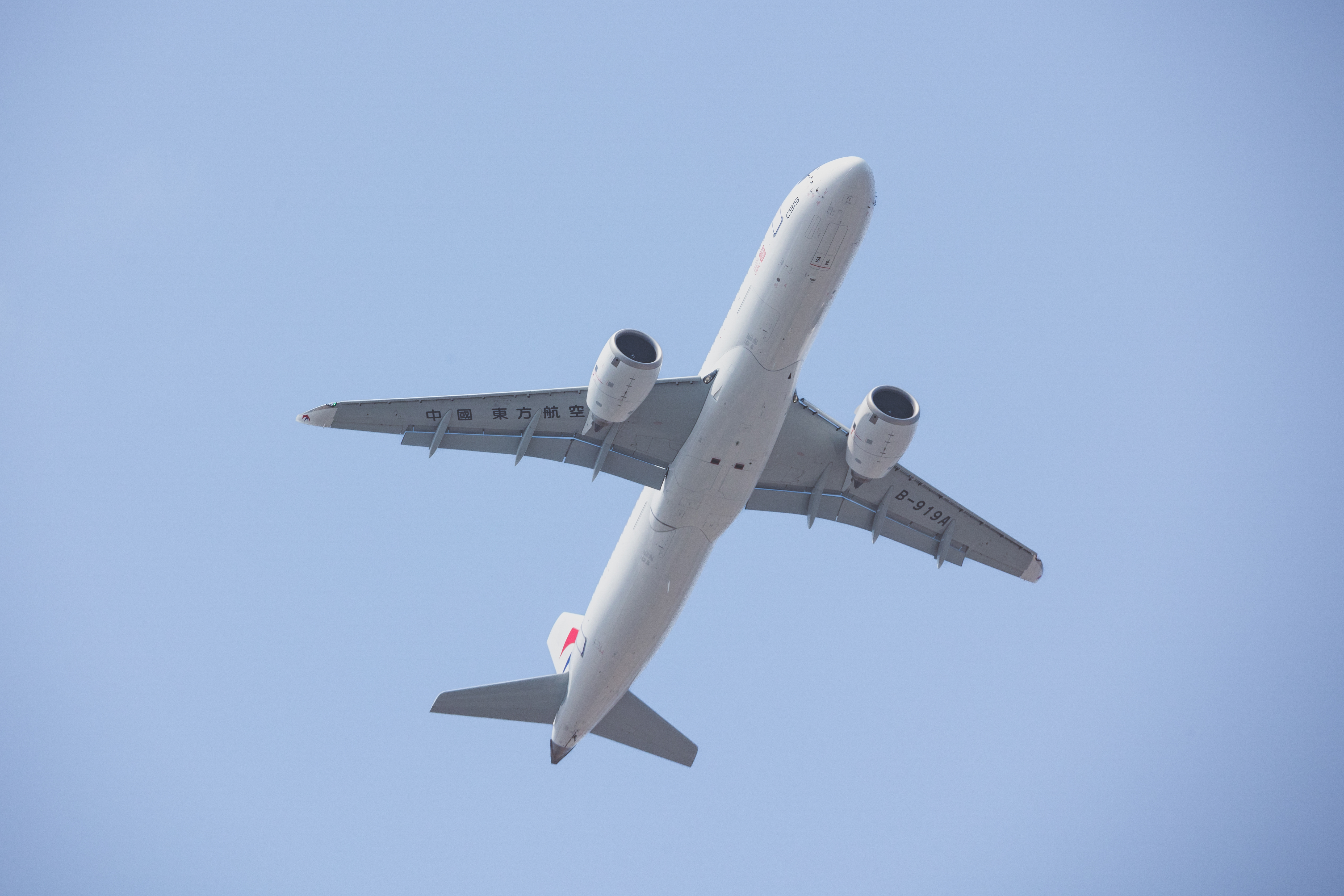 图二：C919机腹图（注册号B-919A）