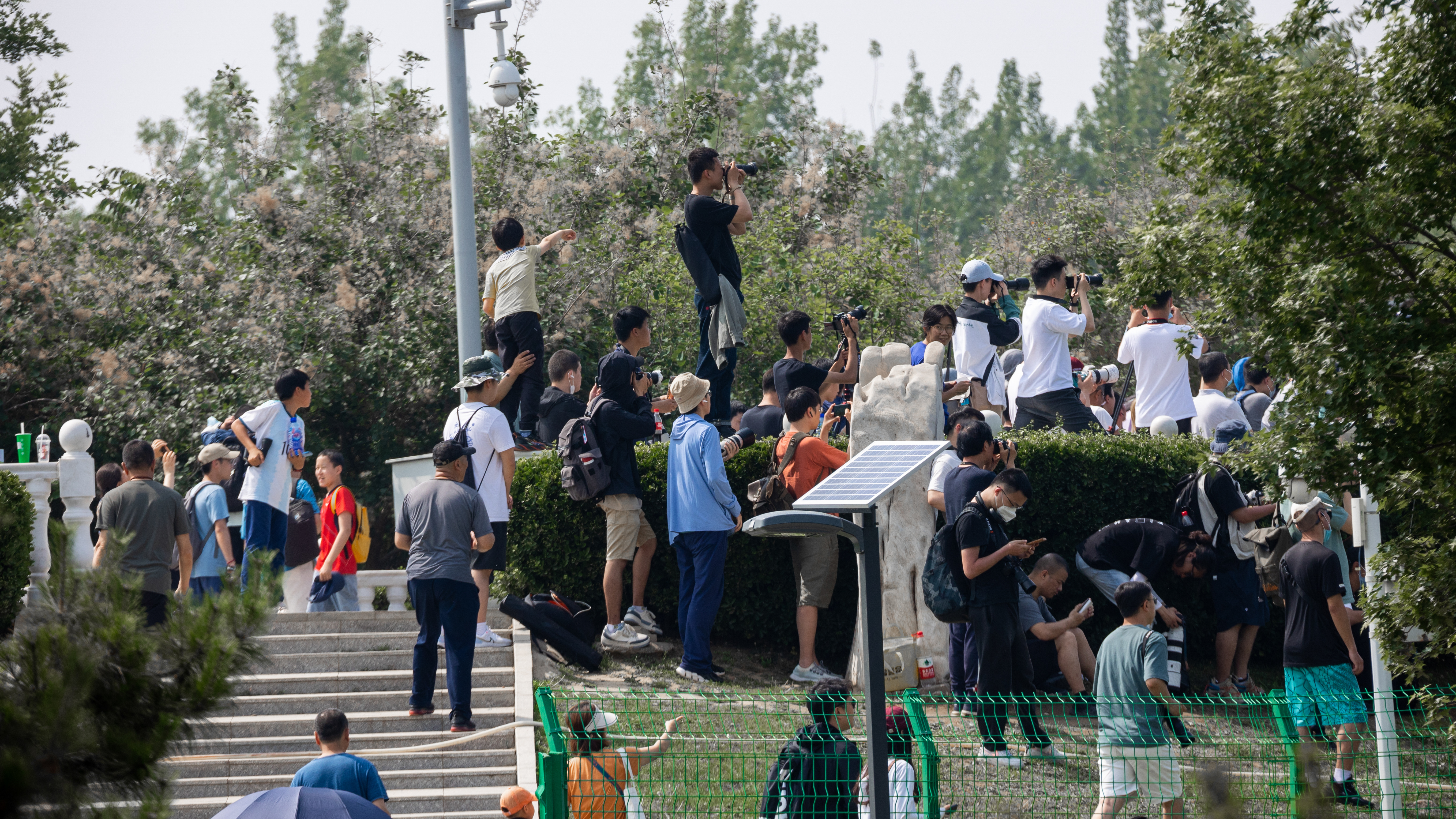 图三：前往北京西湖园拍摄的民航爱好者们