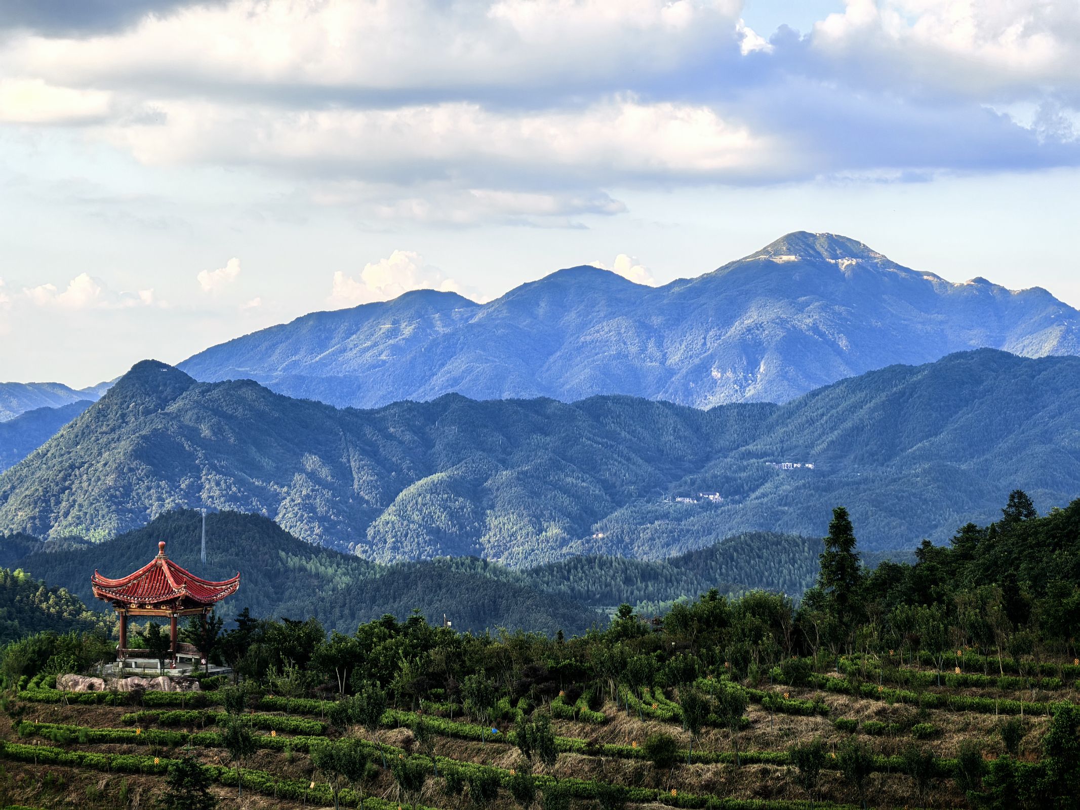 圖為春賜福生態茶廠遠景。周文濤 攝