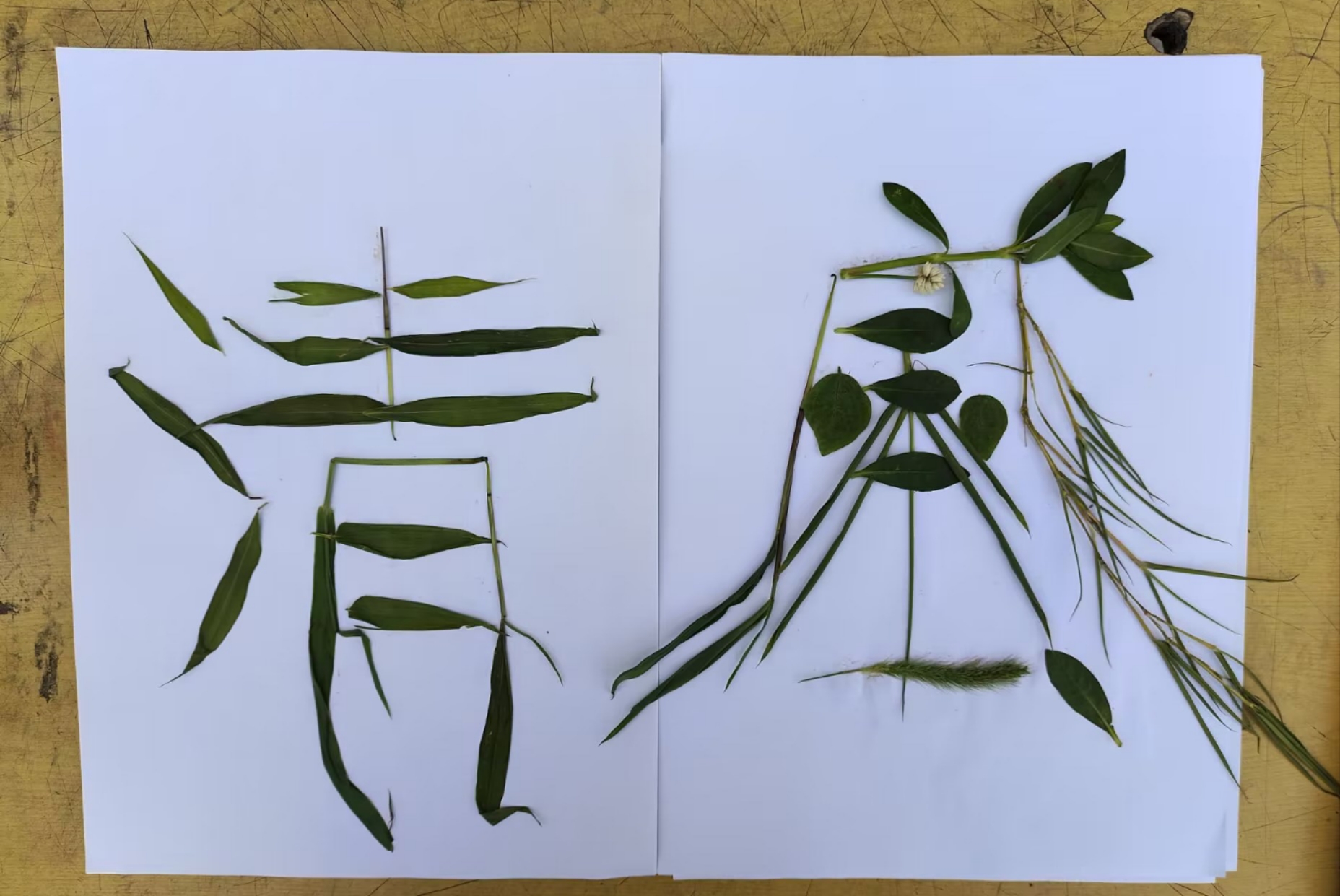 圖為實踐隊員與當地留守兒童共同創作的樹葉字“清風”。胡馨文 攝