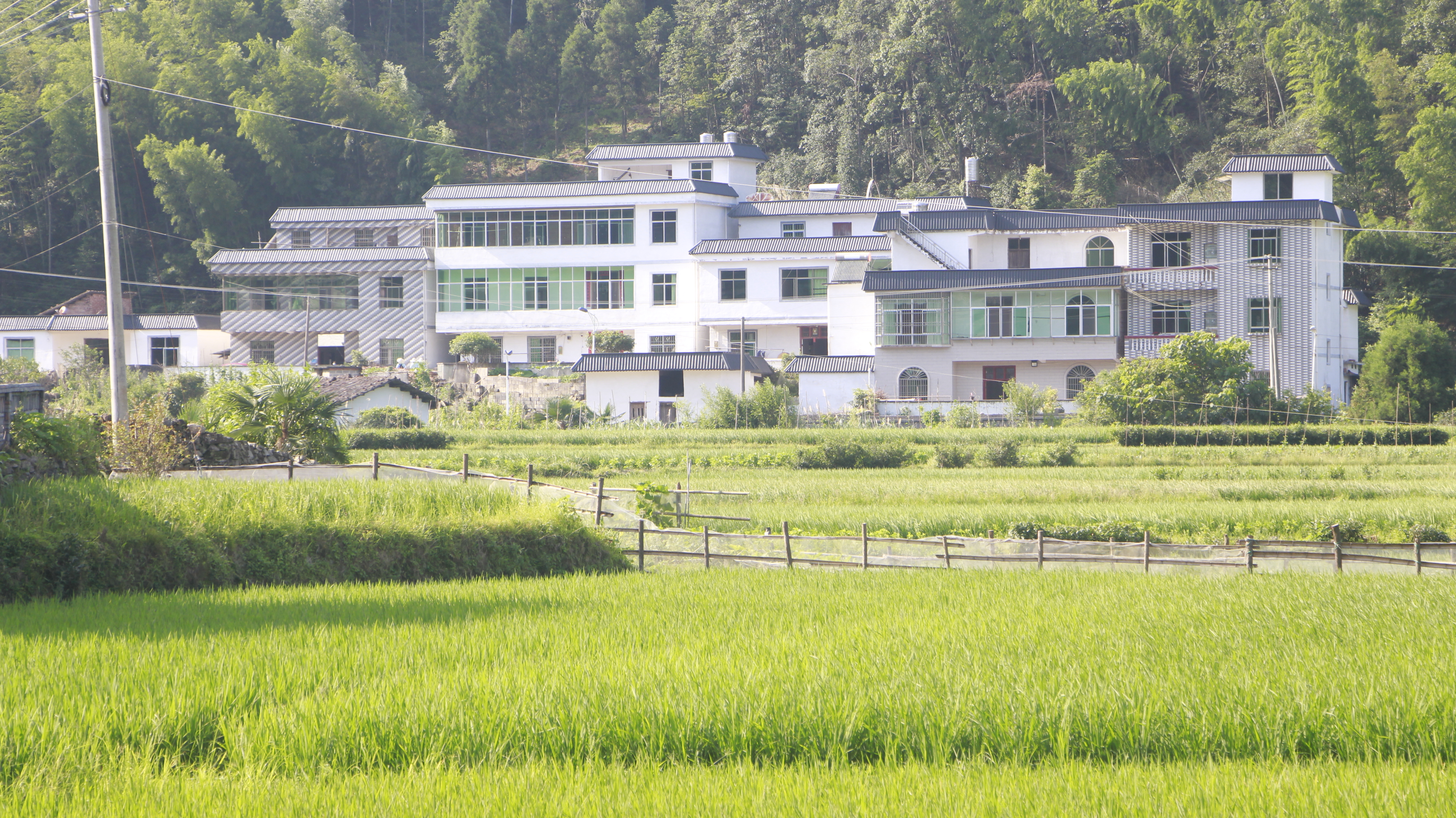 圖為賀堂村六門組風景。張文沂 甘倩華攝