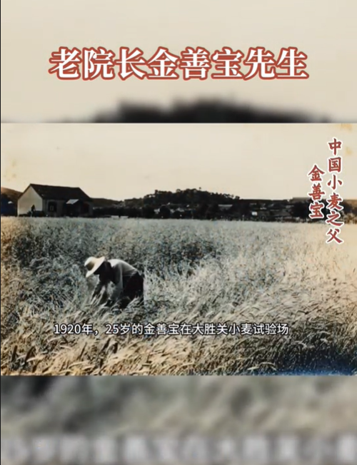 《南农时光》AI创作系列微短视频