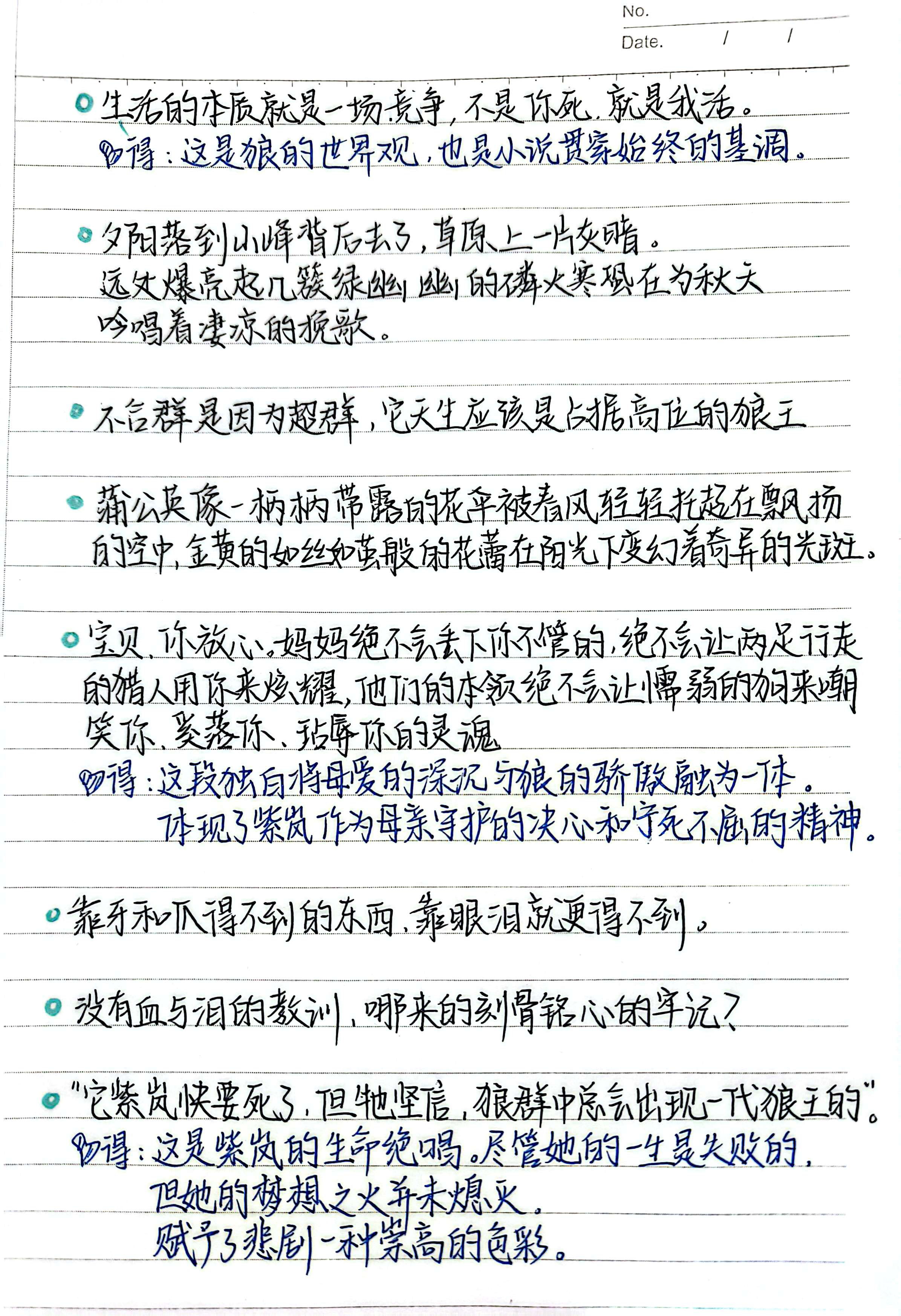 这份《狼王梦》读书笔记，一边拆解小说里的狼性世界、人物命运，一边从学前教育视角琢磨儿童成长与教育本质，是文学品读和教育思考拧在一起的真心阅读记录。